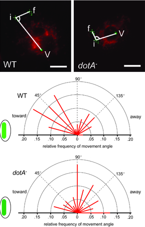 Leg. in S2 Paper Fig 6